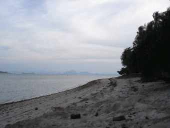 Koh Samui Beach Land Ko Samui