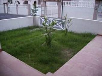 House with garden Torrevieja