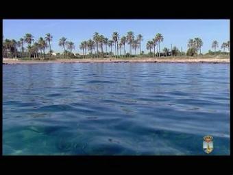 Beautiful Bungalow in Los Altos Torrevieja