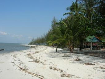 Beach Land at Thailand(Discount) Trat