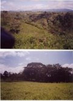 Beautiful land in Volcan,Chiriq Chiriqui