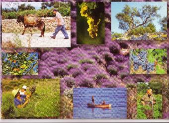 578m2 Land Hvar -Croatia Stari Grad