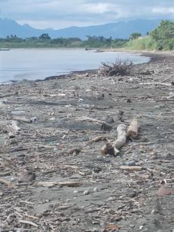 BEACH FRONT 3 ACRES LAND Nadi