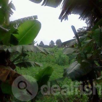 1/8 acre plots for sale Nairobi