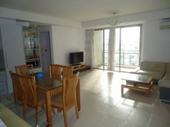 Apartment for rent in Botanic Hcmc