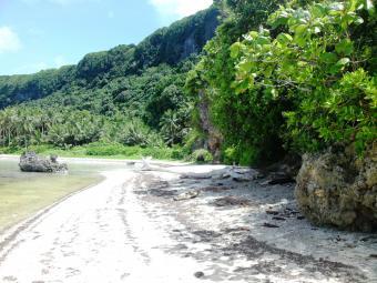Land Farm Beach Guiuan