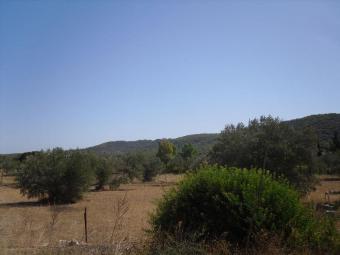 LAND PROPERTY FOR SALE Aegina