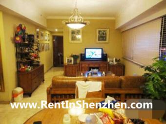 Shenzhen LuoHu CBD apartment,Nea Shenzhen