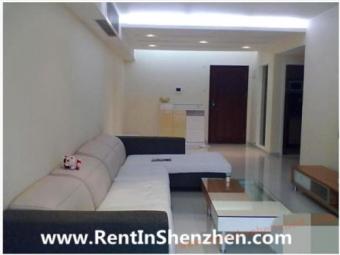 NanShan Apartment Rent/beautiful Shenzhen