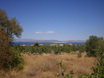 REAL ESTATE IN GREEK ISLAND Aegina