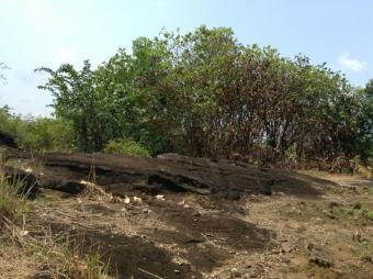 10 acre land-Bentota-Sri Lanka Bentota