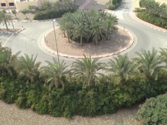 Apartment / Flat Dubailand Dubailand