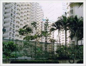 Most peaceful riverside condomin Bangkok