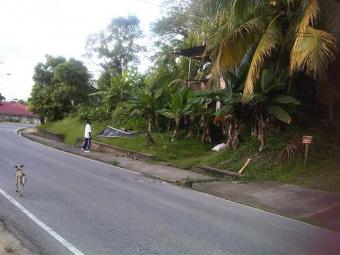 Sangre Grande dilapidated House Saangre Grande