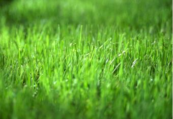 land for sale near warsaw Konstancin-jeziorna