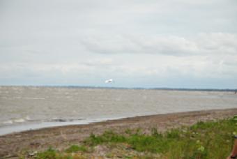 400 Mz - Great Lake of Nicaragua Cardenas