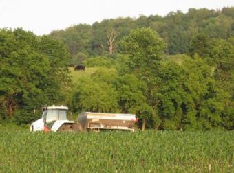 48 hectares,with borehole,power Timau