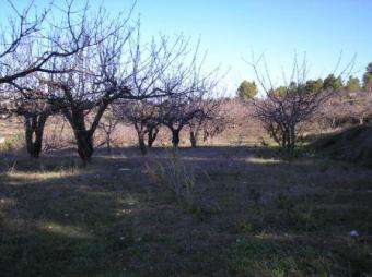 FANTASTIC PLOT IN COSTA BLANCA!! Benillup