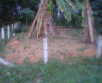 SALES Phuket