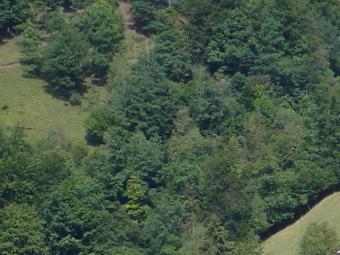 Charmy old house in the Alps Fobello