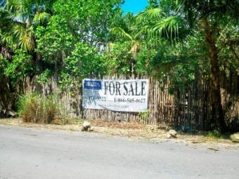 109 Hct. 269.3 Ac Project Devel Tulum
