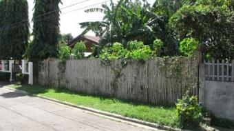 VACANT LOT FOR SALE IN MAYON ST. Davao