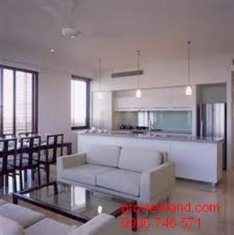 AVALON  Apartments for rent/leas Hcmc