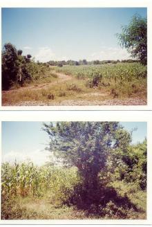 Cheap plot for sale Tuguegarao City