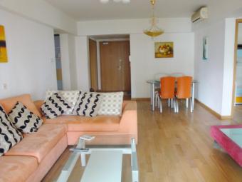 Morden flat in the One Park Shanghai