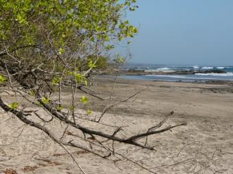 Avellanas Beach Oportunity Guanacaste