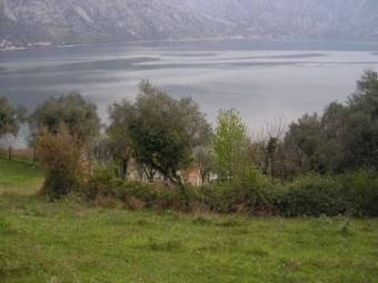 Land in Montenegro Kotor