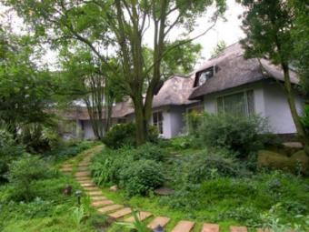 Ideal Investment or B&B - 2010 Sandton (johannesburg)