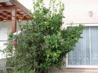 CANET PLAGE 2 BEDROOMS VILLA Canet-plage