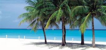 Little Cayman Land Little Cayman