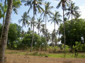 30 acres of land for sale Mombasa
