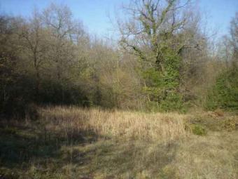 LAND IN ULCINJ Ulcinj