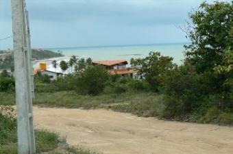Magnificient Plot near the Beach Tabatinga, Jacuma, Paraiba