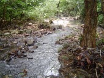 farm for sale Penonome