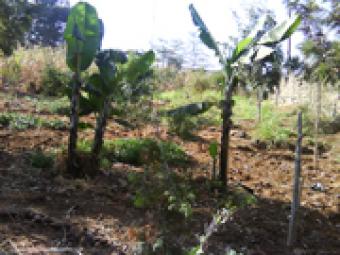 Rongai 1/4 acre Nairobi