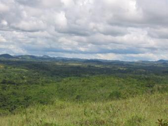 Farm for sale in Penonome Penonome