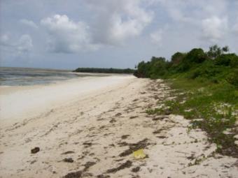 beach land for sale Mombasa