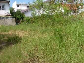 land in maung nakornratchasima Maung Nakornratchasima