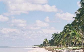 BOUNGALOWS IN YUCATAN COAST Yucatan