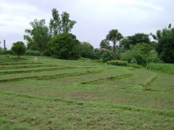 plot of land 4 sell Rosales