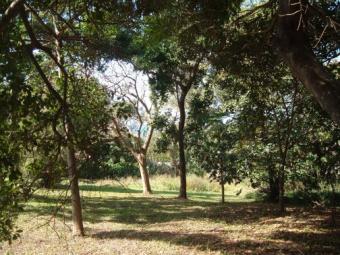 LAND FOR SALE Natal South Coast