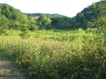 Land For Sale 10 Hectare,Urgent Kampong Thom