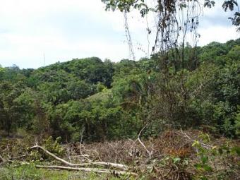 Sell land at Guanacaste Guanacaste