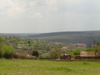 Regulated plot Kavarna