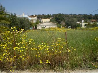 sell land near sea Porto Rafti
