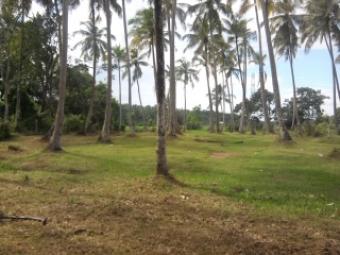 63  perch Land For Sale Minuwangoda